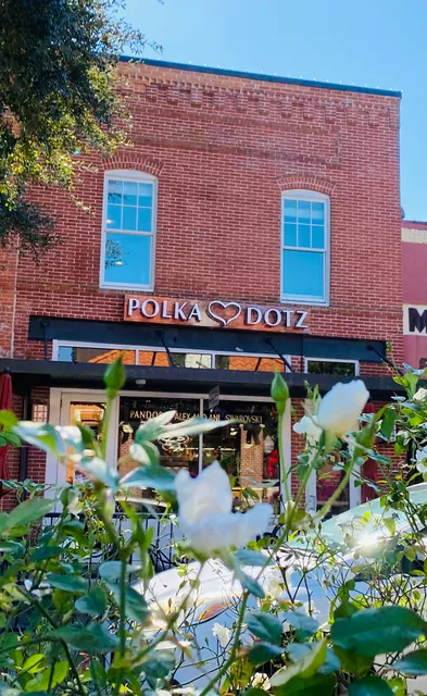 Polka Dotz at Winter Garden, Downtown