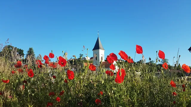 Ferienwohnung am Radweg