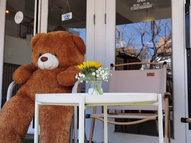 de forest @ NIDHRA CAFE