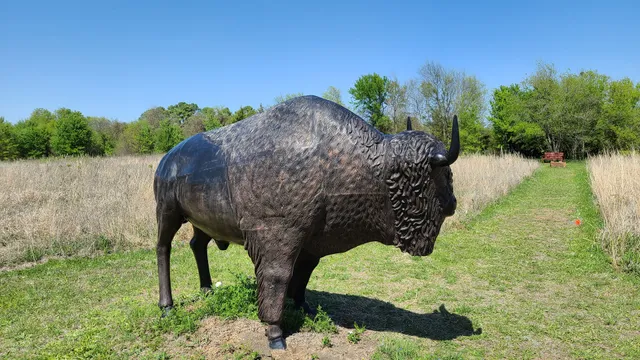 Kachina Prairie Park