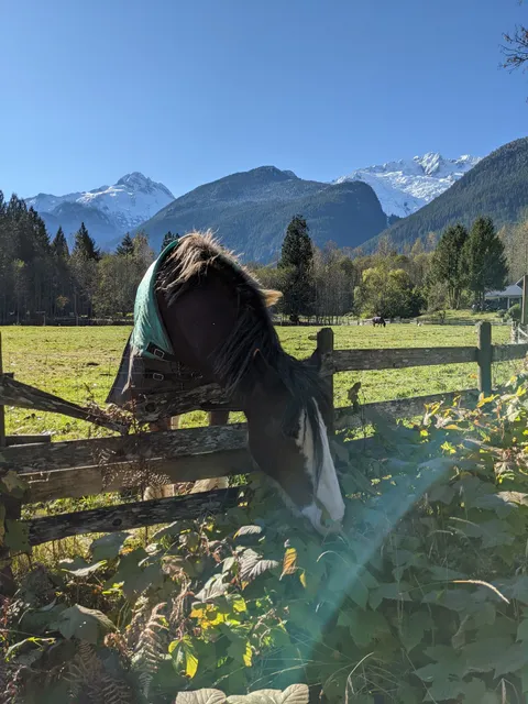 Squamish Valley Campground