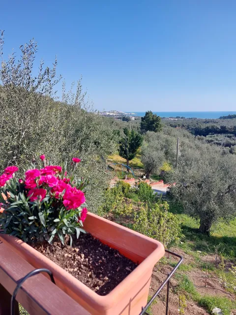 Villa Berta Case Vacanza