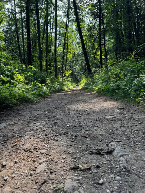 Big Tree Ridge Trailhead