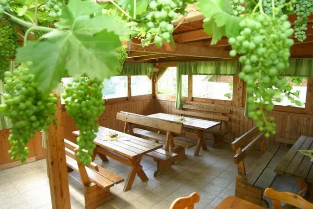 Schilcherweinbau Vollmaier vulgo Wieser