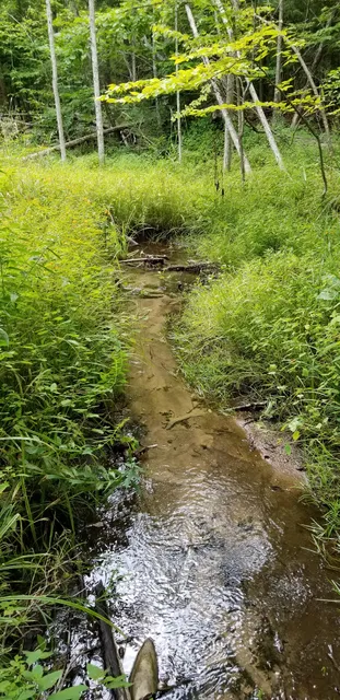 Bubbling Springs Nature Preserve