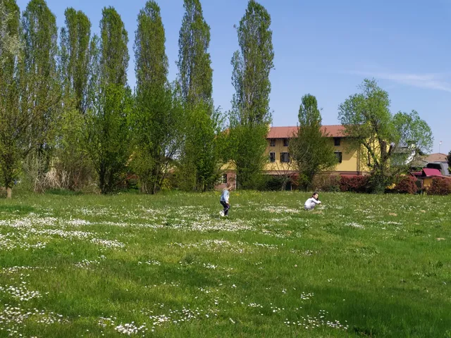 Mercato Biologico Noventana