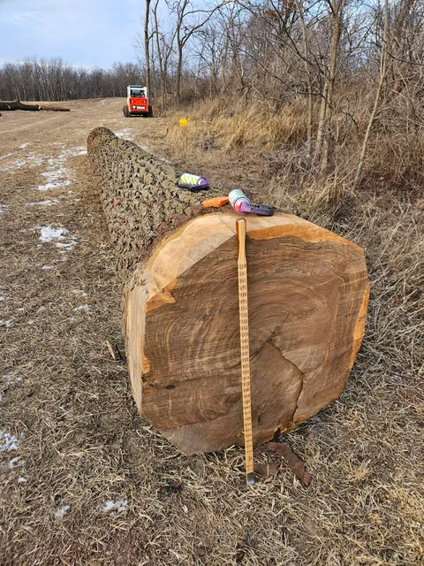 Meister Log & Lumber