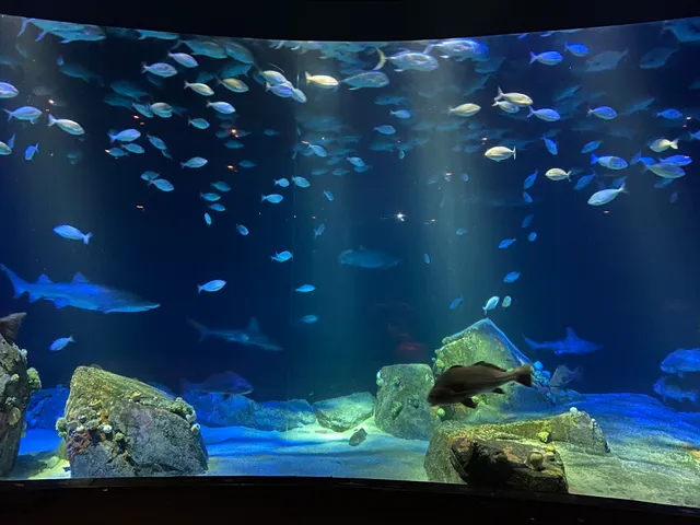 New York Aquarium Parking Lot