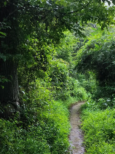 Redlands Rock Creek Trail