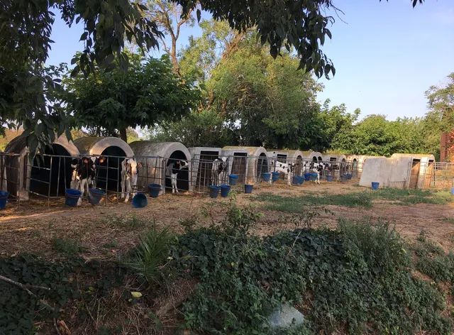 El Racó Sostenible Llaüt elèctric