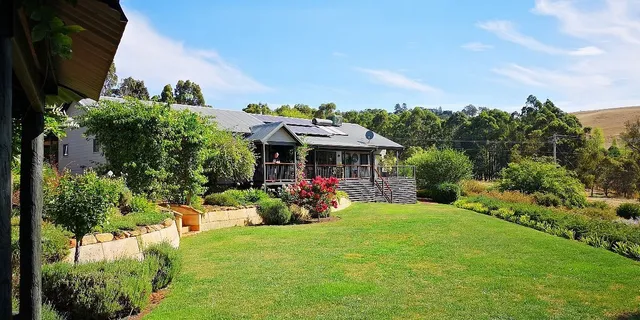 Rickaty on Blackwood