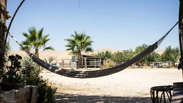 Succah in the Desert