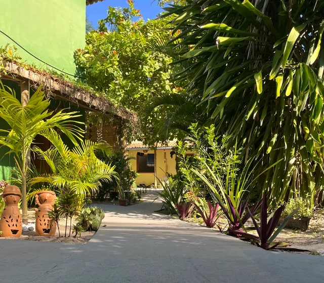 Canto dos Pássaros -Boipeba