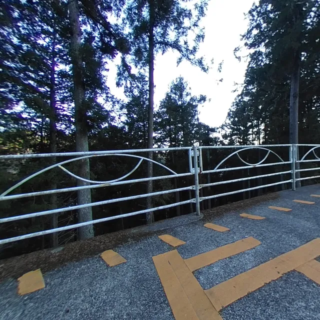 Minobusan University