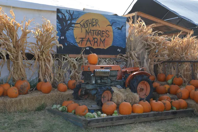 Mother Nature's Farm