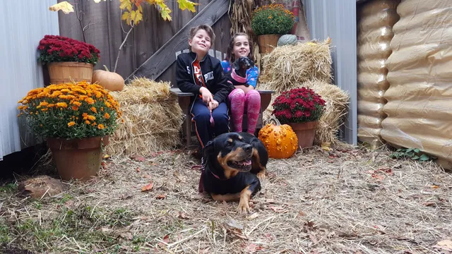 Sacandaga Dog Supply & Feed