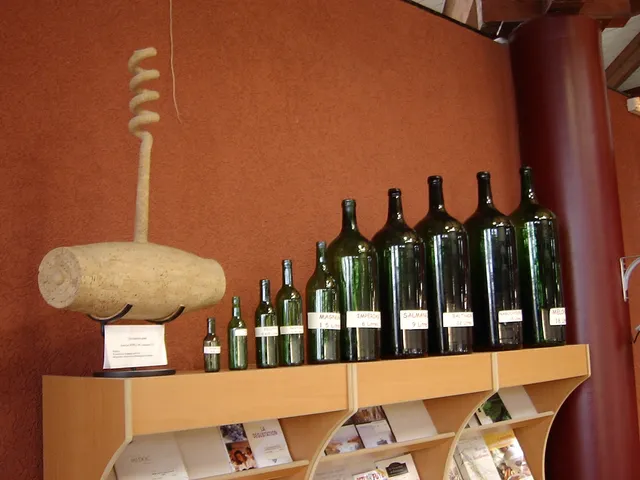 Maison du Tourisme et du Vin