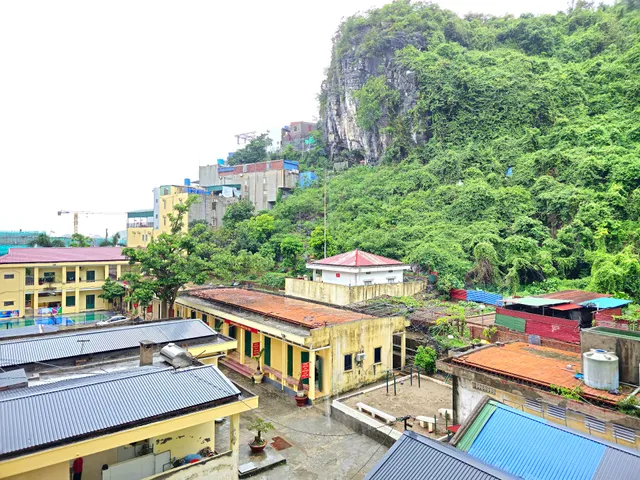 Pi's Homestay Cat Ba