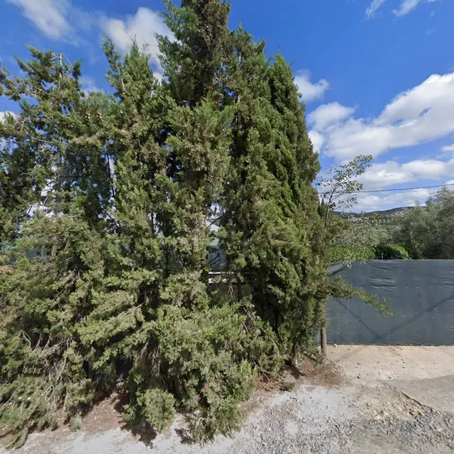 Cortijo El Cortijuelo