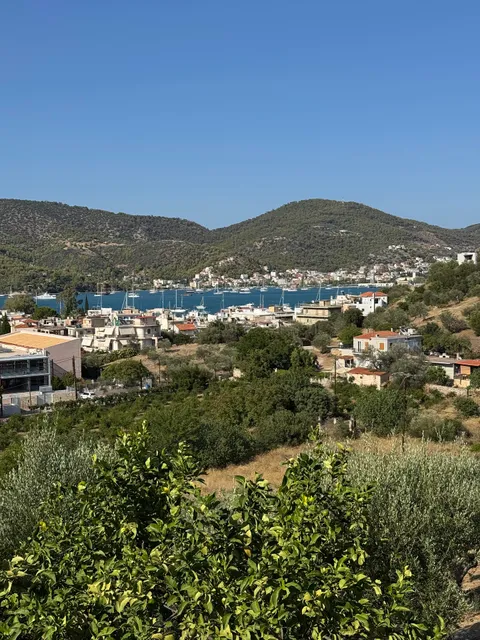 Elaia country living