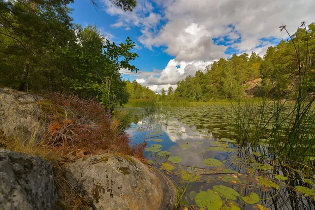 Nackareservatet i Stockholm