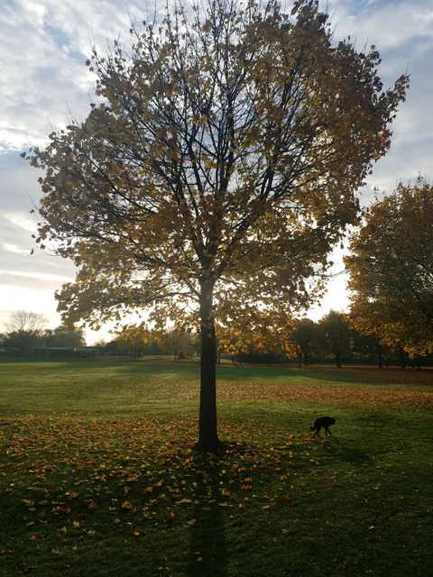 Stylistic Re-Upholstery in Broxtowe, United Kingdom - reviews,open ...