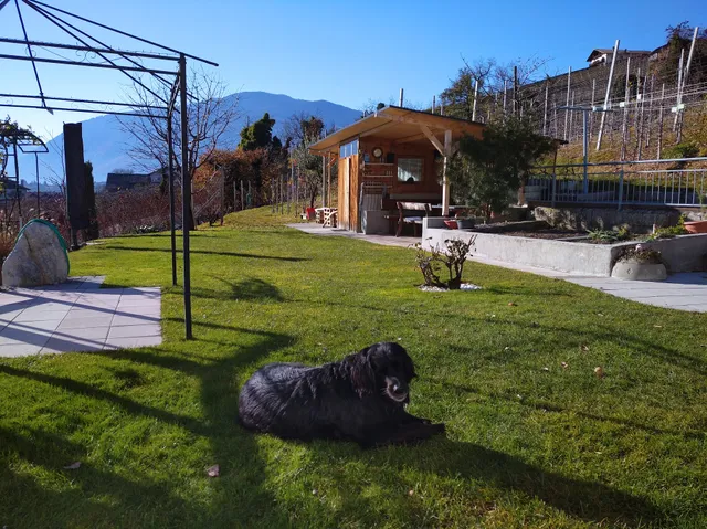 Frienwohnungen Ausserstark