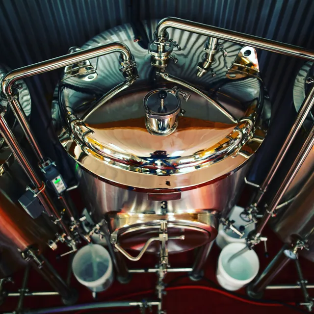 Quintopia Brewing Co