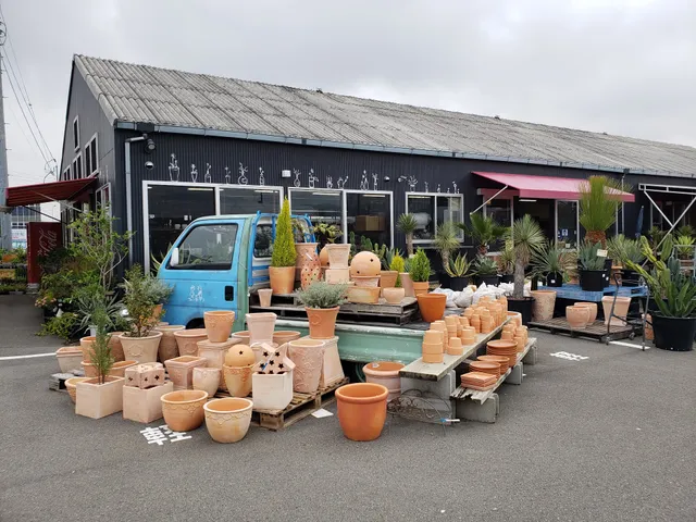 ファンガーデン MASAKI本店