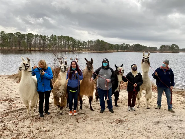 Second Wind Farm NE, LLC