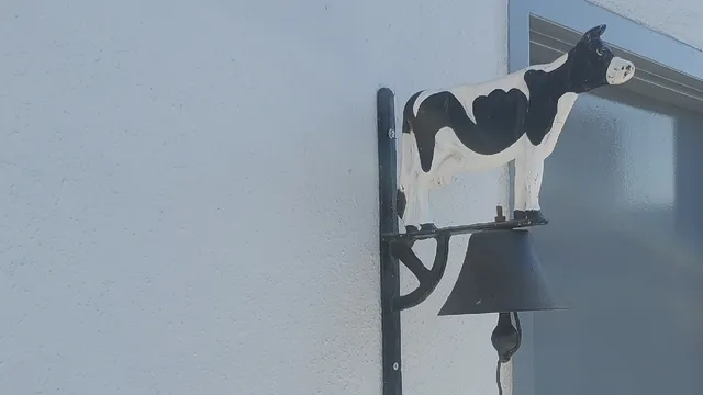 Al Salam Meat and Poultry