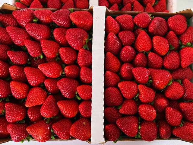 Nicolson Strawberries