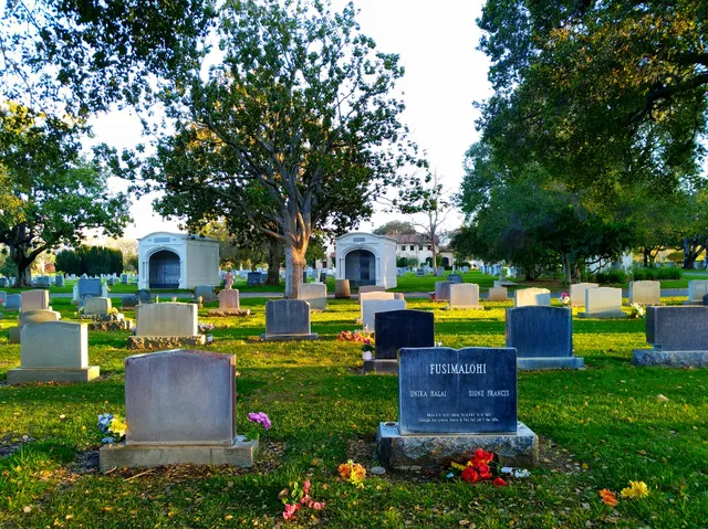 Alta Mesa Memorial Park