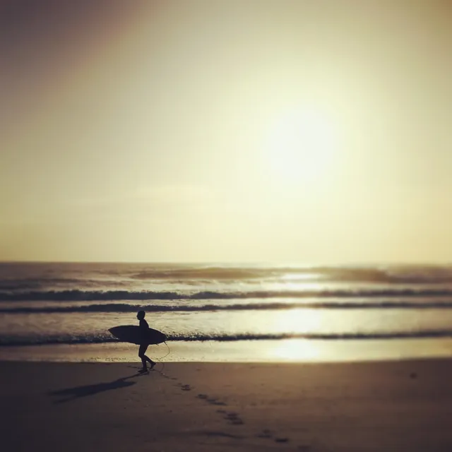 Beach Rentals BOP Limited