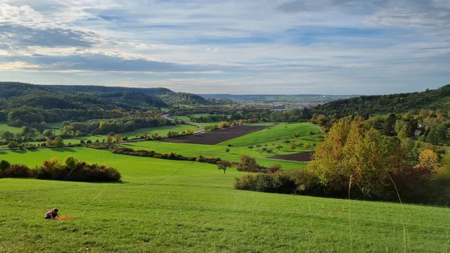 Aussicht auf Leonberg