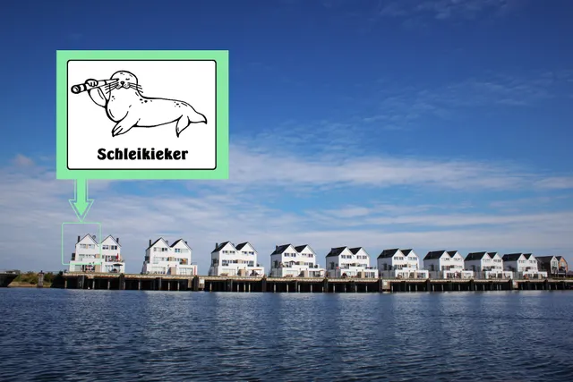 Ferienhaus Schleikieker Ostsee Resort Olpenitz