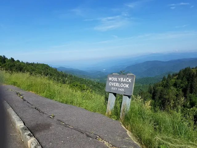 Woolyback Overlook