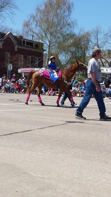 Blossomtime Festival
