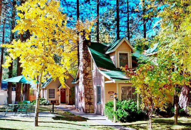 Sleepy Forest Resorts