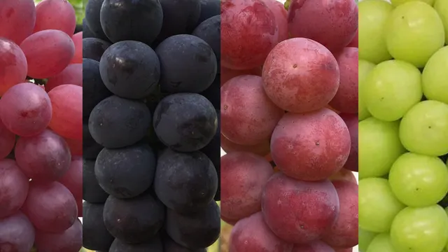 Hayashibudo Orchards