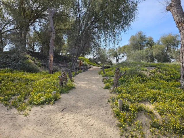 Mushrif Park Hiking Trail