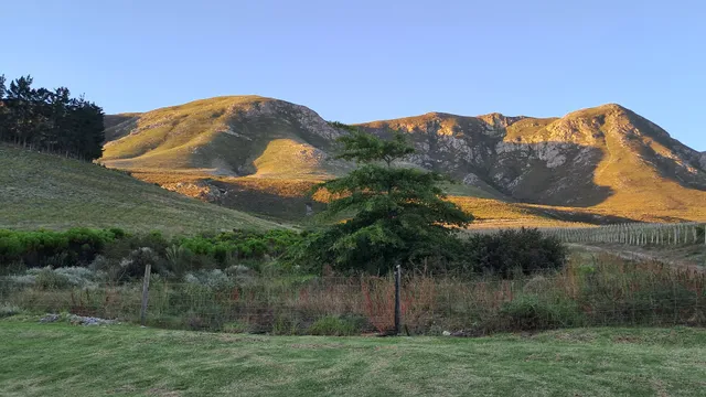 Hermanuspietersfontein Cottages