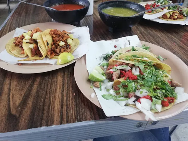 TAQUERIA EL ARBOLITO