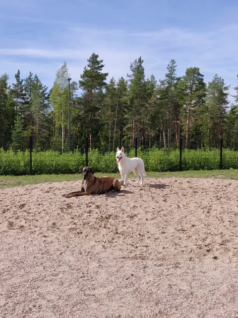 Lintukorpi dog park