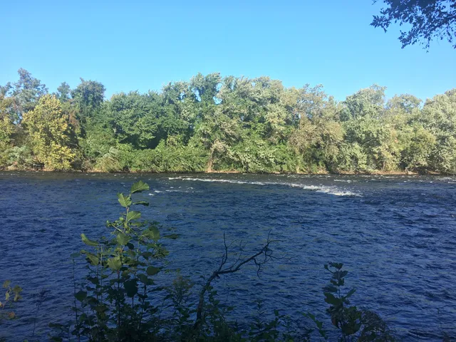 Dundee Island Preserve