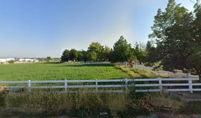 Wild Hearts homestead