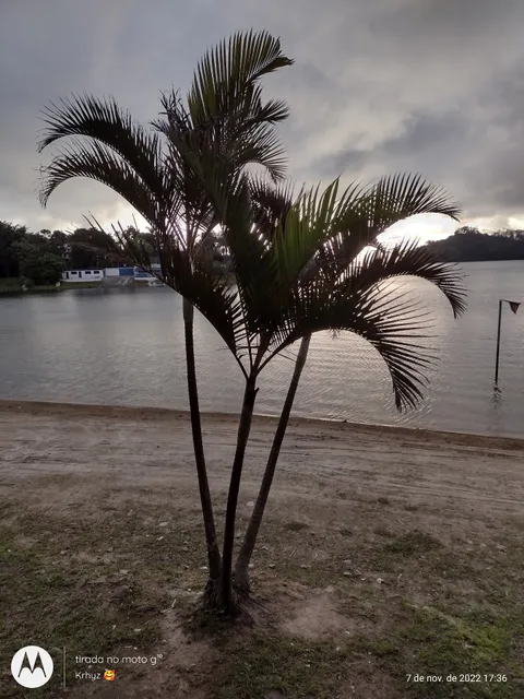 Prainha do Riacho Grande