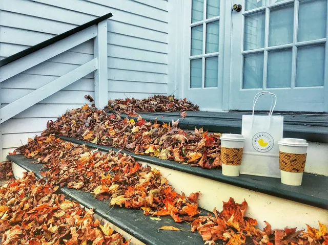 photo-2