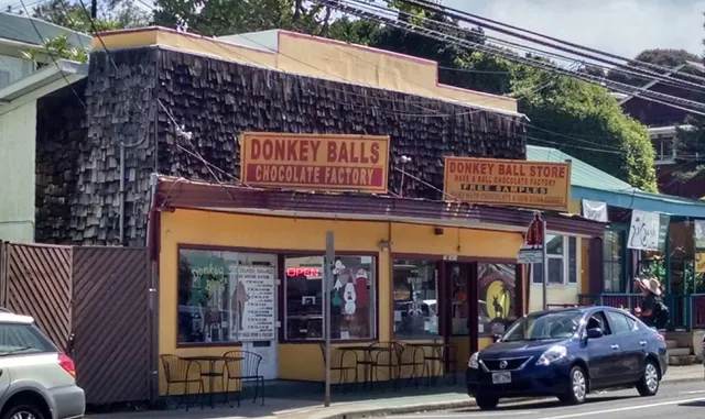 The Original Donkey Ball Store