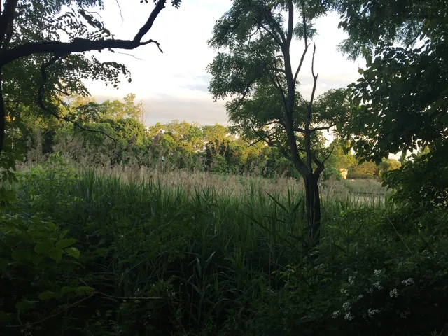 Manorhaven Preserve and Nature Trail